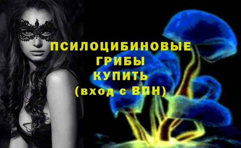 Псилоцибиновые грибы Psilocybe  Азнакаево 